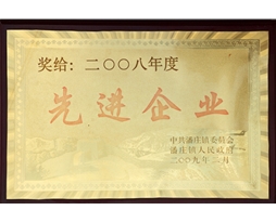 先進企業(yè)