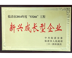 新興成長(zhǎng)企業(yè)